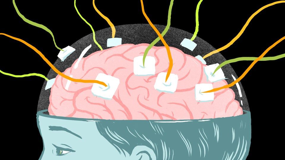 brain
